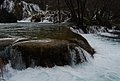DSC_0333.JPG