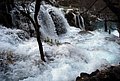 DSC_0334.JPG
