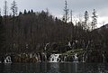 DSC_0337.JPG