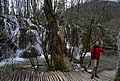 DSC_0339.JPG