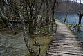 DSC_0340.JPG
