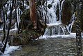 DSC_0341.JPG