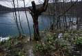 DSC_0342.JPG