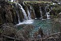 DSC_0344.JPG