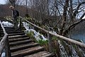 DSC_0345.JPG