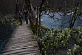 DSC_0347.JPG
