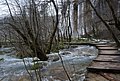 DSC_0349.JPG