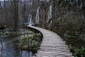 DSC_0354.JPG