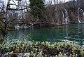 DSC_0356.JPG