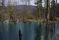 DSC_0357.JPG