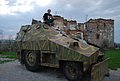 DSC_0371.JPG