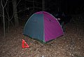 DSC_0374.JPG