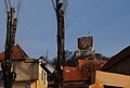 DSC_0380.JPG