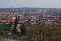 DSC_0384.JPG