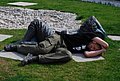 DSC_0389.JPG
