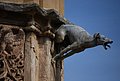 DSC_0392.JPG