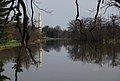 DSC_0398.JPG