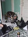 DSCF5838.JPG