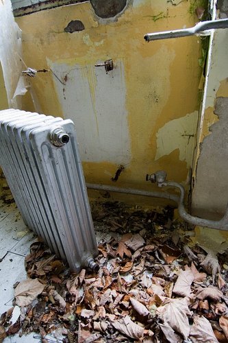 img_5194.jpg