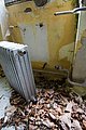 img_5194.jpg