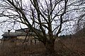 img_5211.jpg