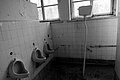 img_5235.jpg