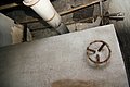 img_5343.jpg