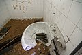img_5480.jpg
