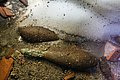 img_5505.jpg