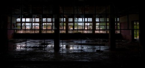 IMG_8321.jpg
