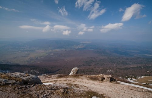 IMG_8621.jpg