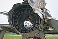 IMG_7526-2.jpg