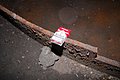 IMG_7789.jpg