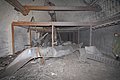 IMG_7832.jpg