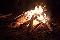 IMG_7932.jpg