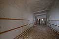 IMG_8216.jpg