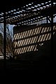 IMG_8280.jpg