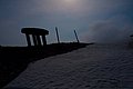 IMG_8585.jpg