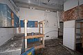 IMG_8665.jpg