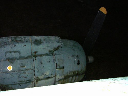 070.JPG