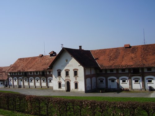 155.JPG