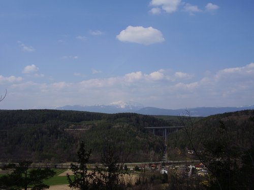 163.JPG
