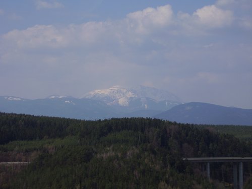 164.JPG