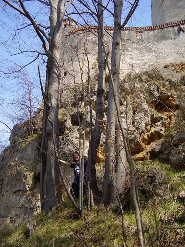 169.JPG