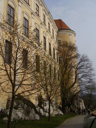 181.JPG