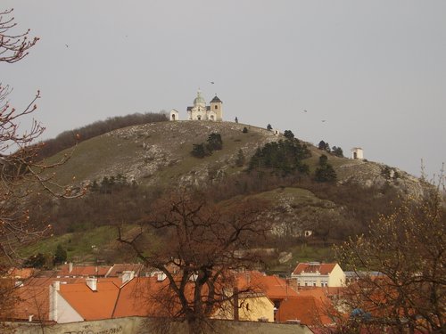 184.JPG