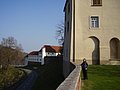 141.JPG