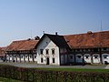 155.JPG