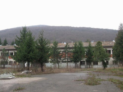 IMG_2588.jpg