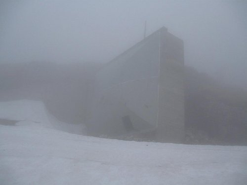 IMG_2878.jpg